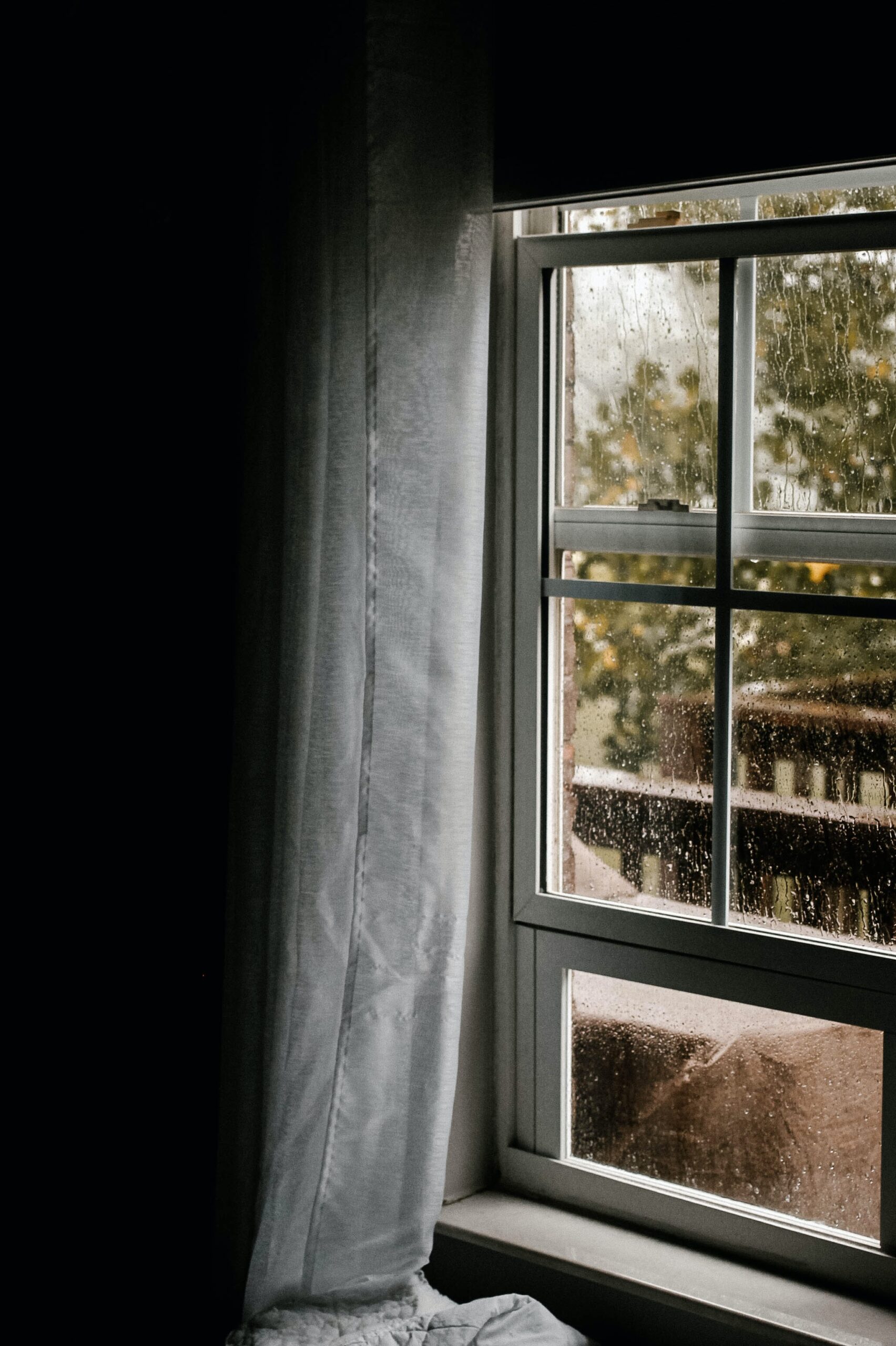 rainy day window mold removal