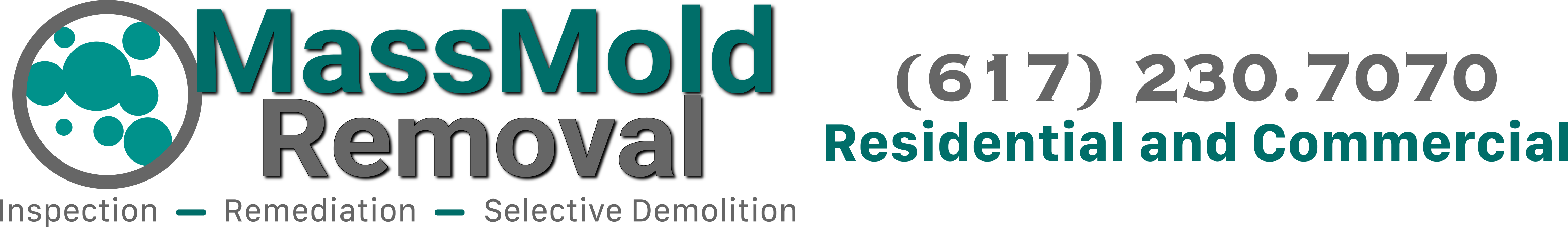 MassMold Removal Logo